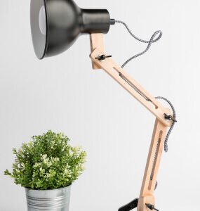 PRINCIPAL product 06