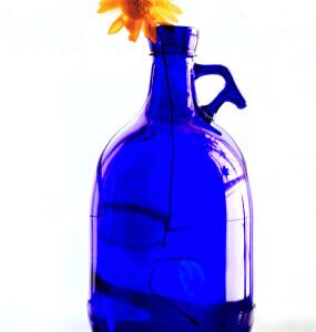 PRINCIPAL product 08